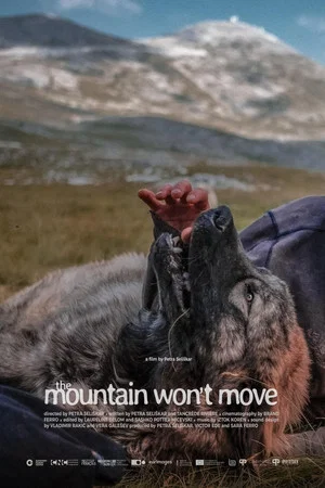 Постер: The Mountain Won’t Move
