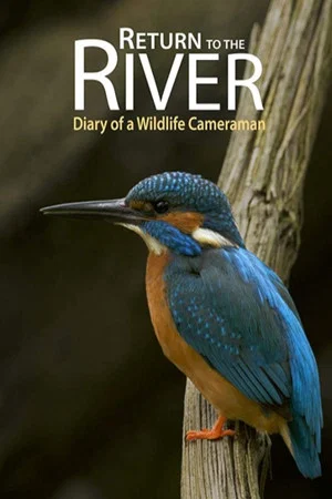 Постер: Return to the River