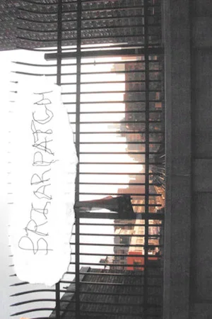Постер: Briarpatch