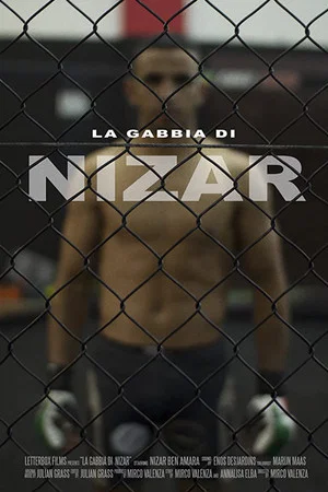 Постер: Nizar