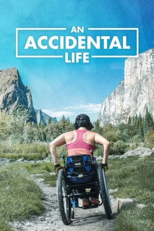 Постер: An Accidental Life
