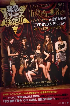 Постер: T-ARA Japan Tour 2013 - Treasure Box- 2nd TOUR FINAL In Budokan
