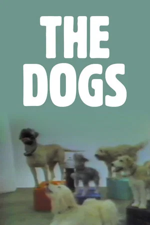 Постер: The Dogs