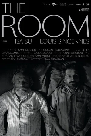 Постер: The Room