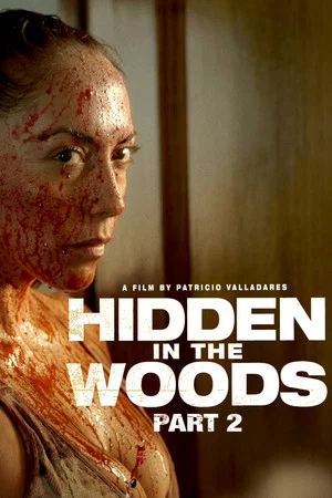Постер: Hidden in the Woods 2