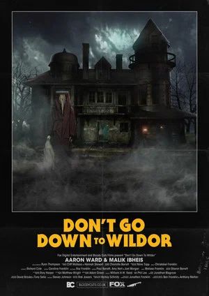 Постер: Don’t Go Down to Wildor