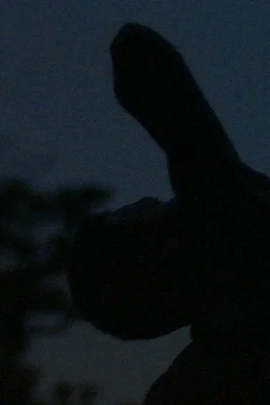 Постер: Velvet Rain