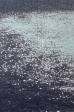 Постер: The Gloomy Sea