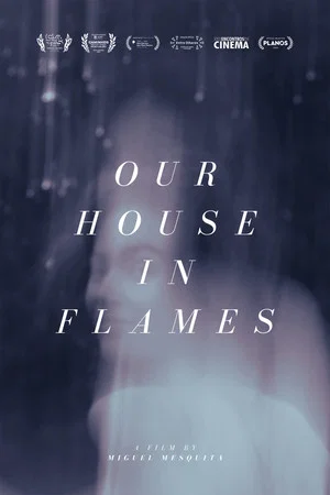 Постер: Our house in flames