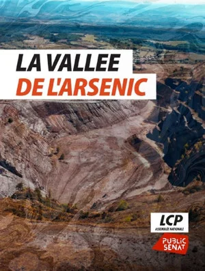 Постер: La vallée de l'arsenic