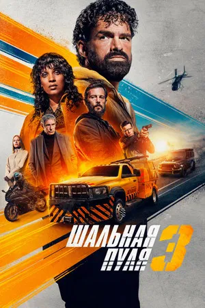 Постер: Шальная пуля 3