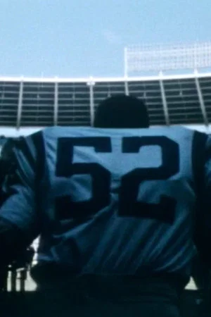 Постер: They Call it Pro Football