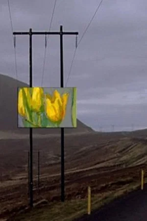 Постер: Forged Paintings in Real Icelandic Landscapes
