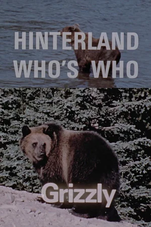 Постер: Hinterland Who's Who: Grizzly
