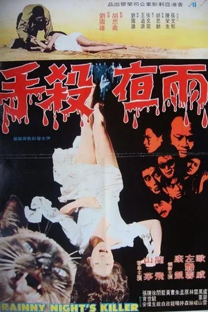 Постер: Rainy Night's Killer
