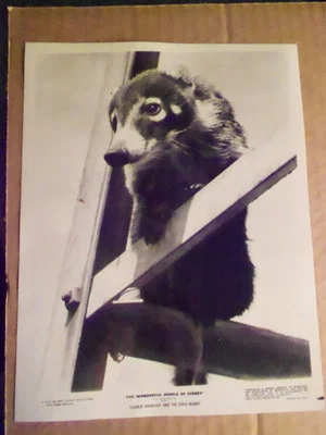 Постер: Charlie Crowfoot and the Coati Mundi
