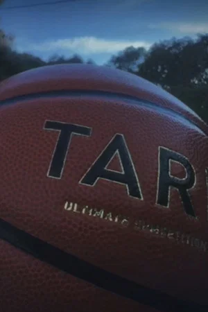 Постер: A sensical film about a basketball