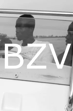 Постер: BZV