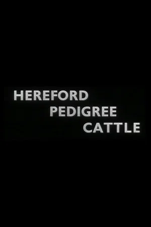 Постер: Hereford Pedigree Cattle