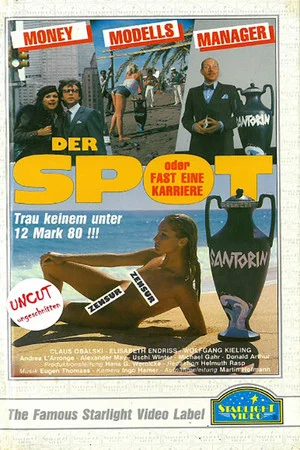 Постер: Der Spot oder Fast eine Karriere