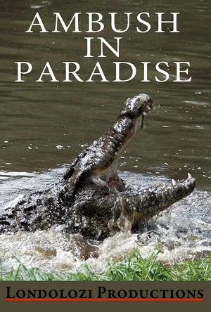 Постер: Ambush in Paradise