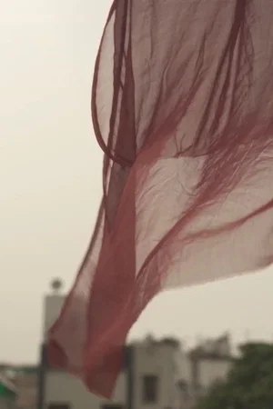 Постер: Searcher