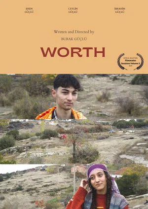 Постер: WORTH