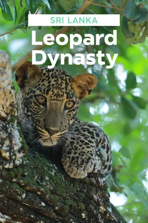 Постер: Sri Lanka: Leopard Dynasty