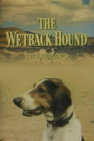 Постер: The Wetback Hound