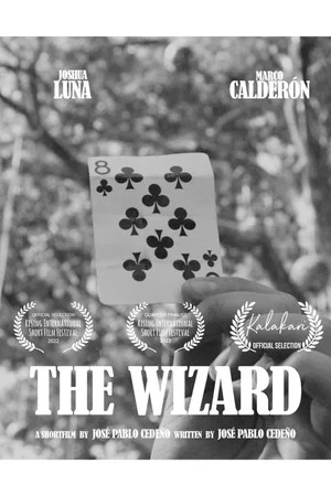 Постер: The Wizard
