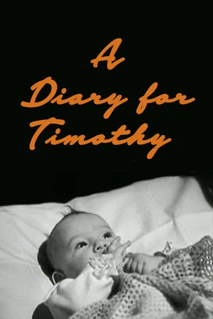 Постер: A Diary for Timothy