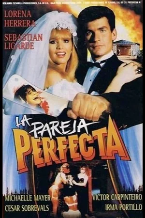 Постер: The Perfect Couple