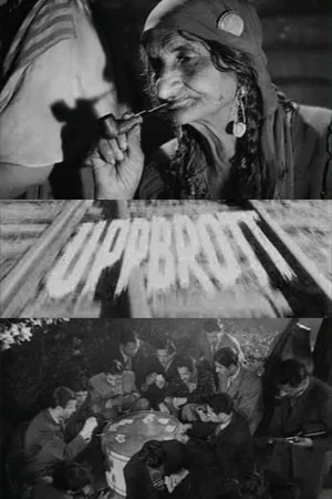 Постер: Break Up
