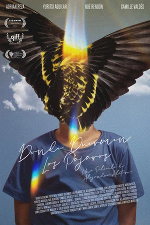 Постер: Where Birds Dream