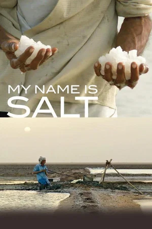 Постер: My Name Is Salt