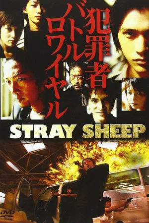 Постер: STRAY SHEEP