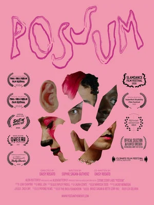 Постер: POSSUM