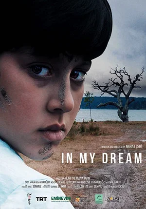 Постер: In My Dream