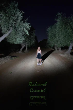 Постер: Nocturnal Carousel