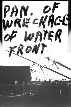 Постер: Panorama of Wreckage of Water Front