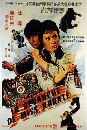Постер: The Sister of the San-Tung Boxer
