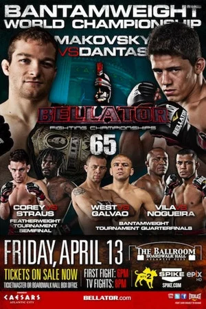 Постер: Bellator 65