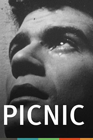 Постер: Picnic