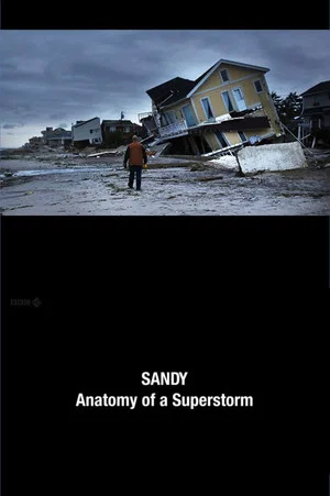 Постер: Sandy: Anatomy of a Superstorm