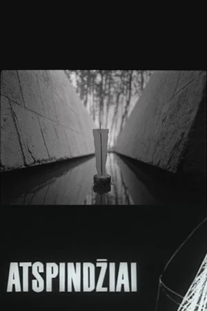 Постер: Reflections