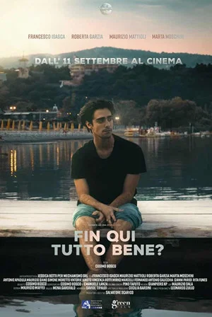 Постер: Fin qui tutto bene?