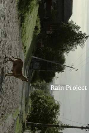Постер: Rain Project