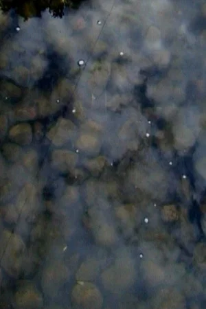 Постер: Drops on Marble