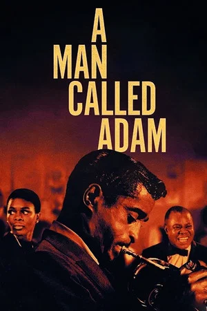 Постер: A Man Called Adam