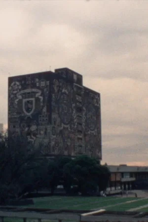 Постер: In Mexico